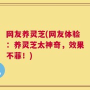 网友养灵芝(网友体验：养灵芝太神奇，效果不菲！)