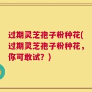 过期灵芝孢子粉种花(过期灵芝孢子粉种花，你可敢试？)