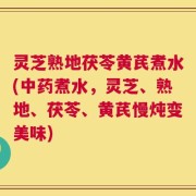 灵芝熟地茯苓黄芪煮水(中药煮水，灵芝、熟地、茯苓、黄芪慢炖变美味)