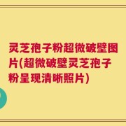灵芝孢子粉超微破壁图片(超微破壁灵芝孢子粉呈现清晰照片)