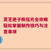 灵芝孢子粉压片全攻略轻松掌握制作技巧与注意事项