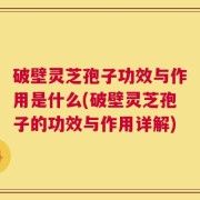 破壁灵芝孢子功效与作用是什么(破壁灵芝孢子的功效与作用详解)