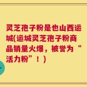 灵芝孢子粉是也山西运城(运城灵芝孢子粉商品销量火爆，被誉为“活力粉”！)