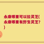 永康哪里可以捡灵芝(永康哪里有野生灵芝？)