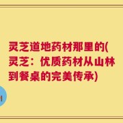 灵芝道地药材那里的(灵芝：优质药材从山林到餐桌的完美传承)
