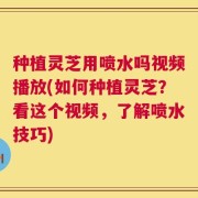 种植灵芝用喷水吗视频播放(如何种植灵芝？看这个视频，了解喷水技巧)