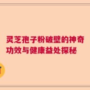 灵芝孢子粉破壁的神奇功效与健康益处探秘