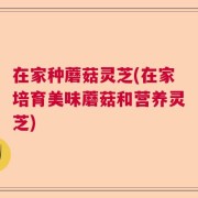在家种蘑菇灵芝(在家培育美味蘑菇和营养灵芝)