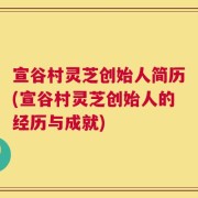 宣谷村灵芝创始人简历(宣谷村灵芝创始人的经历与成就)