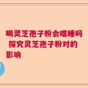 喝灵芝孢子粉会嗜睡吗 探究灵芝孢子粉对的影响