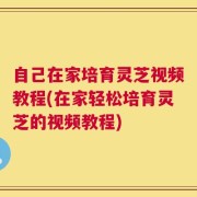 自己在家培育灵芝视频教程(在家轻松培育灵芝的视频教程)