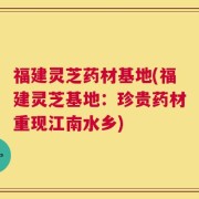 福建灵芝药材基地(福建灵芝基地：珍贵药材重现江南水乡)