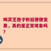 喝灵芝孢子粉后便便变黑，真的是正常现象吗？