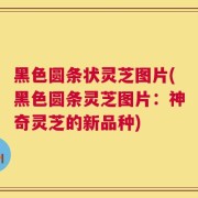 黑色圆条状灵芝图片(黑色圆条灵芝图片：神奇灵芝的新品种)