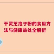 干灵芝孢子粉的食用方法与健康益处全解析