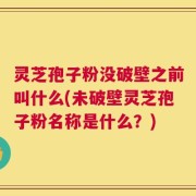 灵芝孢子粉没破壁之前叫什么(未破壁灵芝孢子粉名称是什么？)