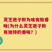 灵芝孢子粉为啥有股香味(为什么灵芝孢子粉有独特的香味？)