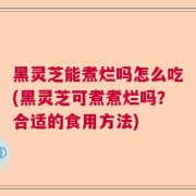 黑灵芝能煮烂吗怎么吃(黑灵芝可煮煮烂吗?合适的食用方法)