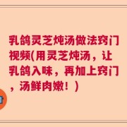 乳鸽灵芝炖汤做法窍门视频(用灵芝炖汤，让乳鸽入味，再加上窍门，汤鲜肉嫩！)