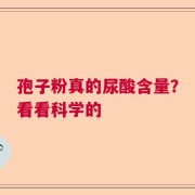 孢子粉真的尿酸含量？看看科学的