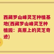 西藏罗山峰灵芝种植基地(西藏罗山峰灵芝种植园：高原上的灵芝奇迹)