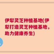 伊犁灵芝种植基地(伊犁打造灵芝种植基地，助力健康养生)