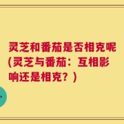 灵芝和番茄是否相克呢(灵芝与番茄：互相影响还是相克？)