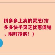 拼多多上卖的灵芝(拼多多快手灵芝优惠促销，限时抢购！)