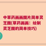 中草药画画图片简单灵芝图(草药画画：绘制灵芝图的简单技巧)