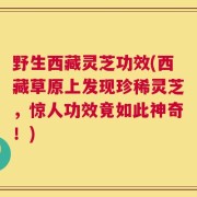 野生西藏灵芝功效(西藏草原上发现珍稀灵芝，惊人功效竟如此神奇！)