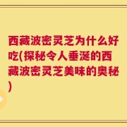 西藏波密灵芝为什么好吃(探秘令人垂涎的西藏波密灵芝美味的奥秘)