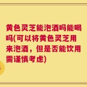 黄色灵芝能泡酒吗能喝吗(可以将黄色灵芝用来泡酒，但是否能饮用需谨慎考虑)