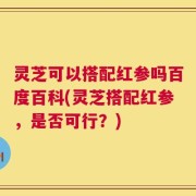 灵芝可以搭配红参吗百度百科(灵芝搭配红参，是否可行？)