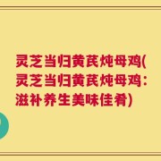 灵芝当归黄芪炖母鸡(灵芝当归黄芪炖母鸡：滋补养生美味佳肴)