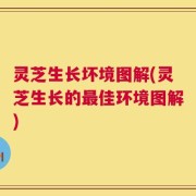 灵芝生长坏境图解(灵芝生长的最佳环境图解)