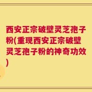 西安正宗破壁灵芝孢子粉(重现西安正宗破壁灵芝孢子粉的神奇功效)