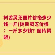 树舌灵芝图片价格多少钱一斤(树舌灵芝价格：一斤多少钱？图片揭晓)