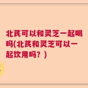 北芪可以和灵芝一起喝吗(北芪和灵芝可以一起饮用吗？)