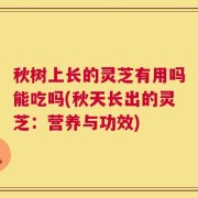 秋树上长的灵芝有用吗能吃吗(秋天长出的灵芝：营养与功效)