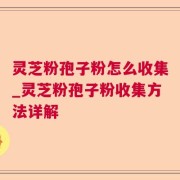 灵芝粉孢子粉怎么收集_灵芝粉孢子粉收集方法详解