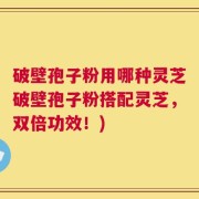 破壁孢子粉用哪种灵芝破壁孢子粉搭配灵芝，双倍功效！)
