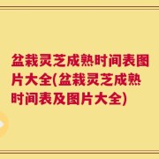 盆栽灵芝成熟时间表图片大全(盆栽灵芝成熟时间表及图片大全)