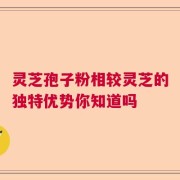 灵芝孢子粉相较灵芝的独特优势你知道吗