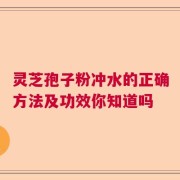 灵芝孢子粉冲水的正确方法及功效你知道吗