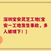 深圳宝安灵芝工地(宝安一工地发生事故，多人被埋下！)