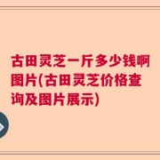 古田灵芝一斤多少钱啊图片(古田灵芝价格查询及图片展示)