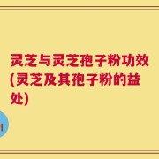 灵芝与灵芝孢子粉功效(灵芝及其孢子粉的益处)