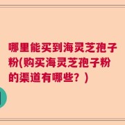 哪里能买到海灵芝孢子粉(购买海灵芝孢子粉的渠道有哪些？)