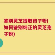 鉴别灵芝提取孢子粉(如何鉴别纯正的灵芝孢子粉)