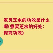 煮灵芝水的功效是什么呢(煮灵芝水的好处：探究功效)